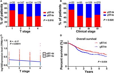 High Abundance of Intratumoral γδ T Cells Favors a Better Prognosis in Head and Neck Squamous Cell Carcinoma: A Bioinformatic Analysis